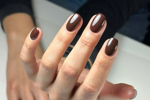 رنگ لوکس شکلاتی اولد مانی 